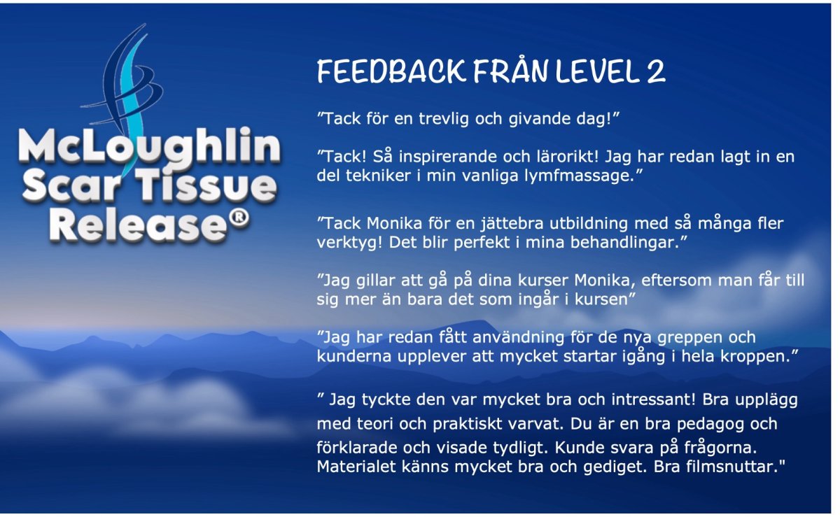 Feedback från MSTR®, nivå 2!